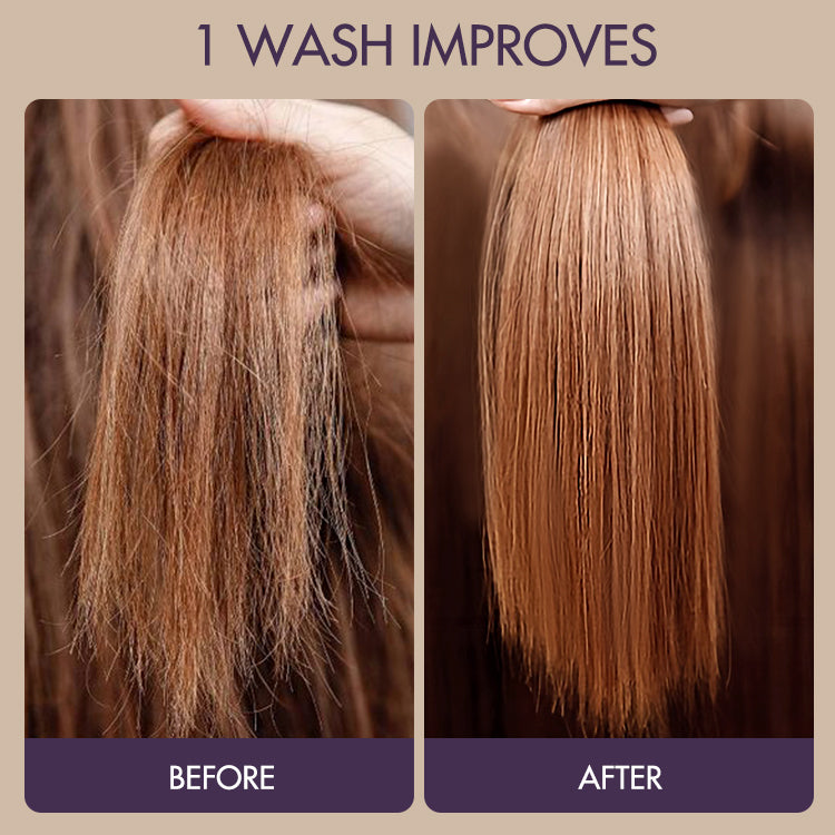 Body Wave Human Hair Wig | 10"-28"