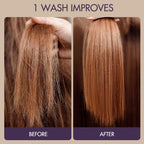 Body Wave Human Hair Wig | 10"-28"