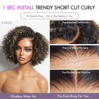 Glueless HD Lace Pixie T-Part Lace Human Hair Wig | 8"-14"