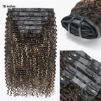 Curly Human Hair Wig - Highlight | 10"-28"