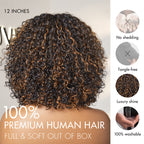 Glueless Curly T-Part Lace Human Hair Wig with Bangs | 8"-14"
