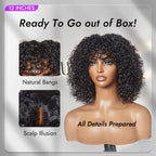 Glueless Curly T-Part Lace Human Hair Wig with Bangs | 8"-14"
