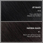 Glueless Loose Wave 5X5 Closure Human Hair Wig - Jet Black | 10"-28"