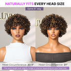 Glueless Curly Human Hair Wig - Highlight with Bangs | 8"-14"