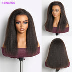HD Lace Kinky Straight T-Part Lace Human Hair Wig | 10"-28"