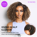Glueless HD Lace Pixie T-Part Lace Human Hair Wig - Highlight | 8"-14"