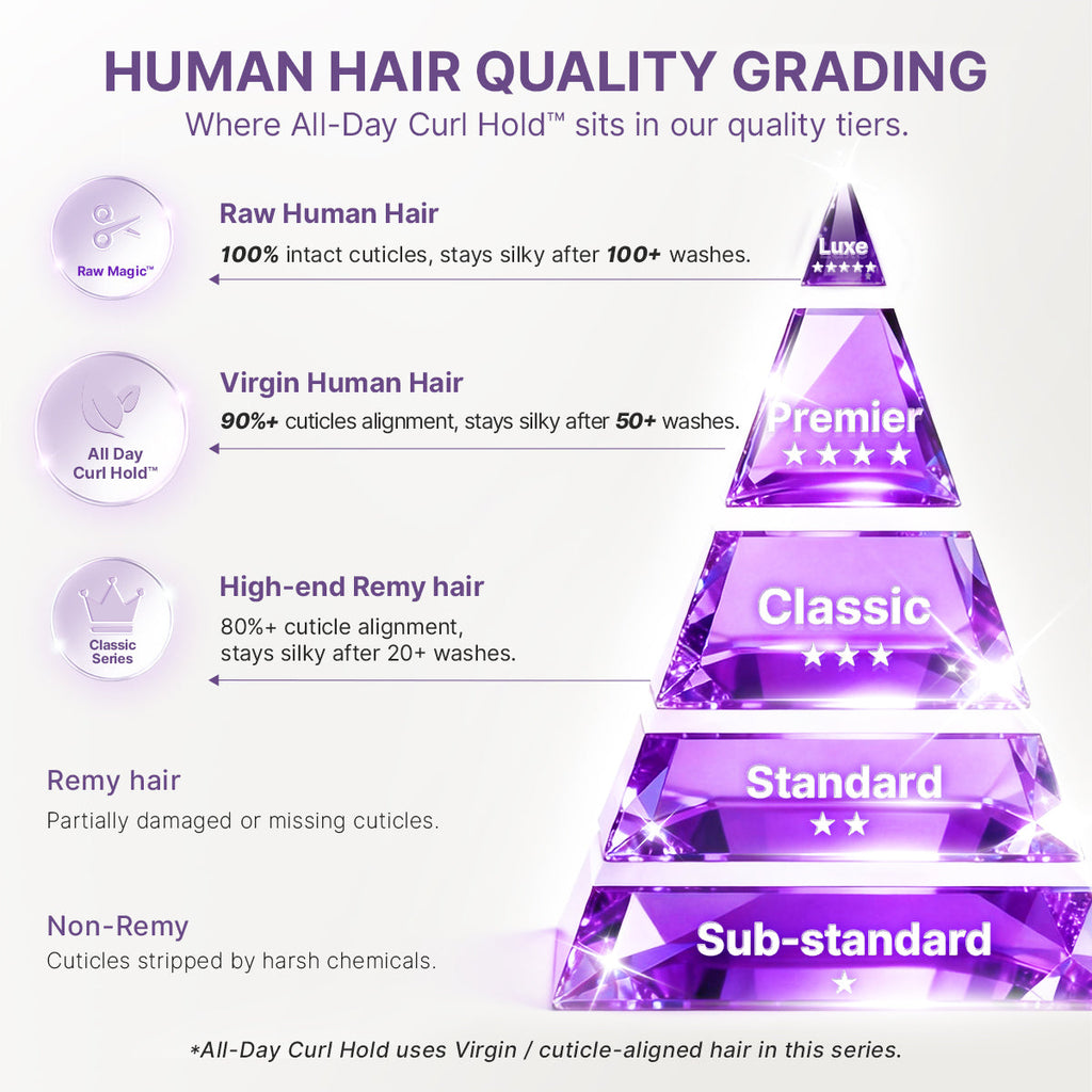 Glueless HD Lace Curly T-Part Lace Human Hair Wig | 10"-28"