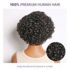 Glueless HD Lace Pixie T-Part Lace Human Hair Wig | 8"-14"