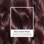 Glueless HD Lace Body Wave T-Part Lace Human Hair Wig 250% Density | 10"-28"