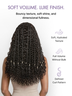 Curly T-Part Lace Human Hair Wig | 10"-28"